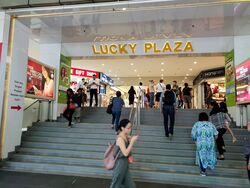 Lucky Plaza (D9), Shop House #328818941